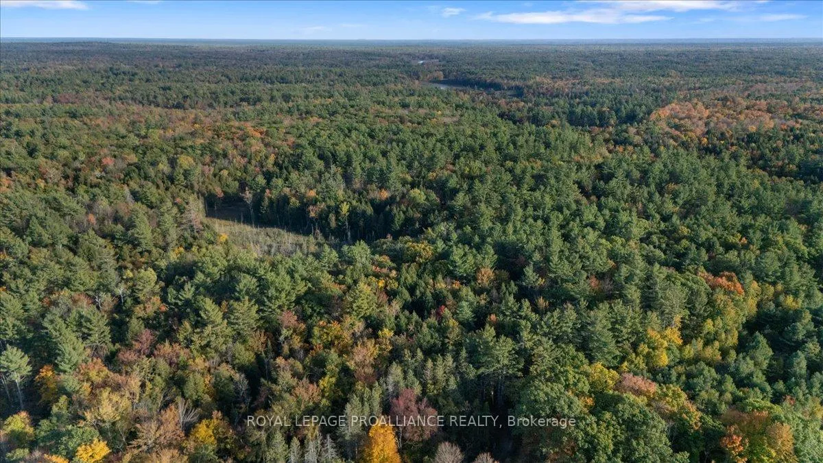Photo 73 of 2650B Upper Flinton Road, Addington Highlands — HOMEH