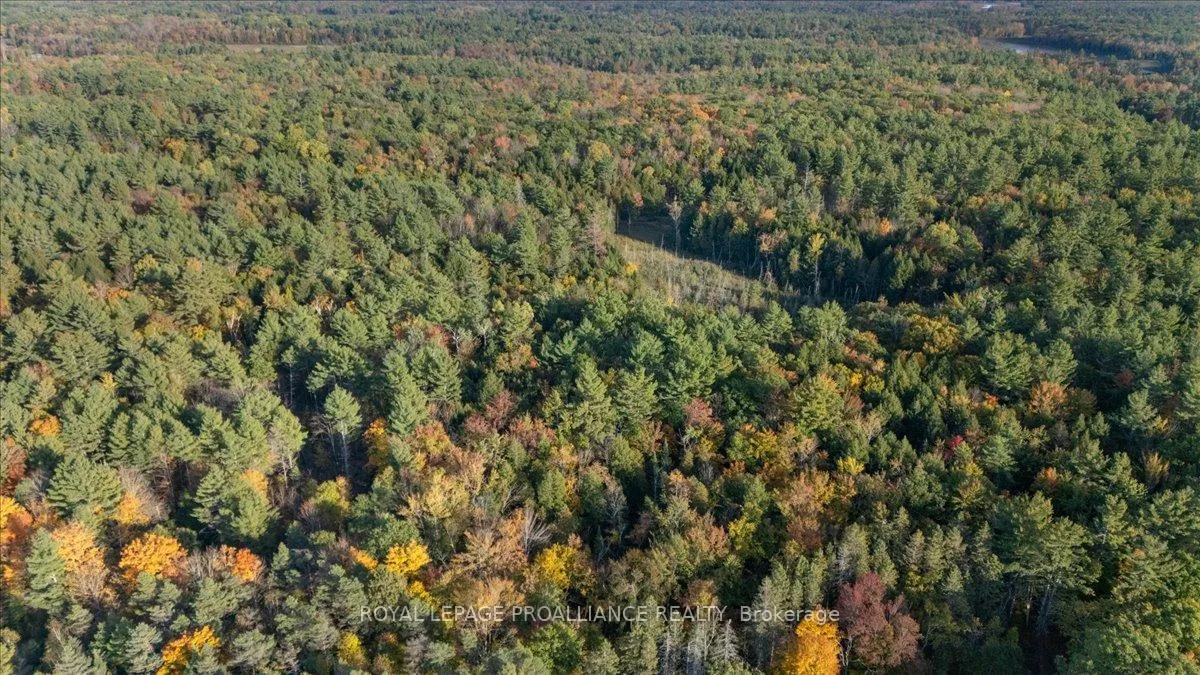 Photo 79 of 2650B Upper Flinton Road, Addington Highlands — HOMEH