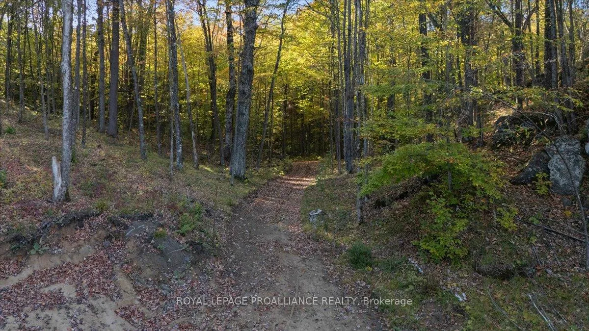 Photo 84 of 2650B Upper Flinton Road, Addington Highlands — HOMEH