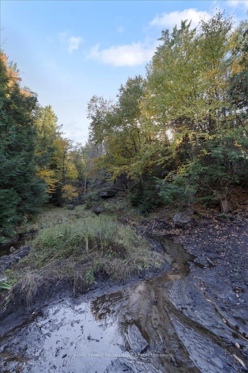 Photo 99 of 2650B Upper Flinton Road, Addington Highlands — HOMEH