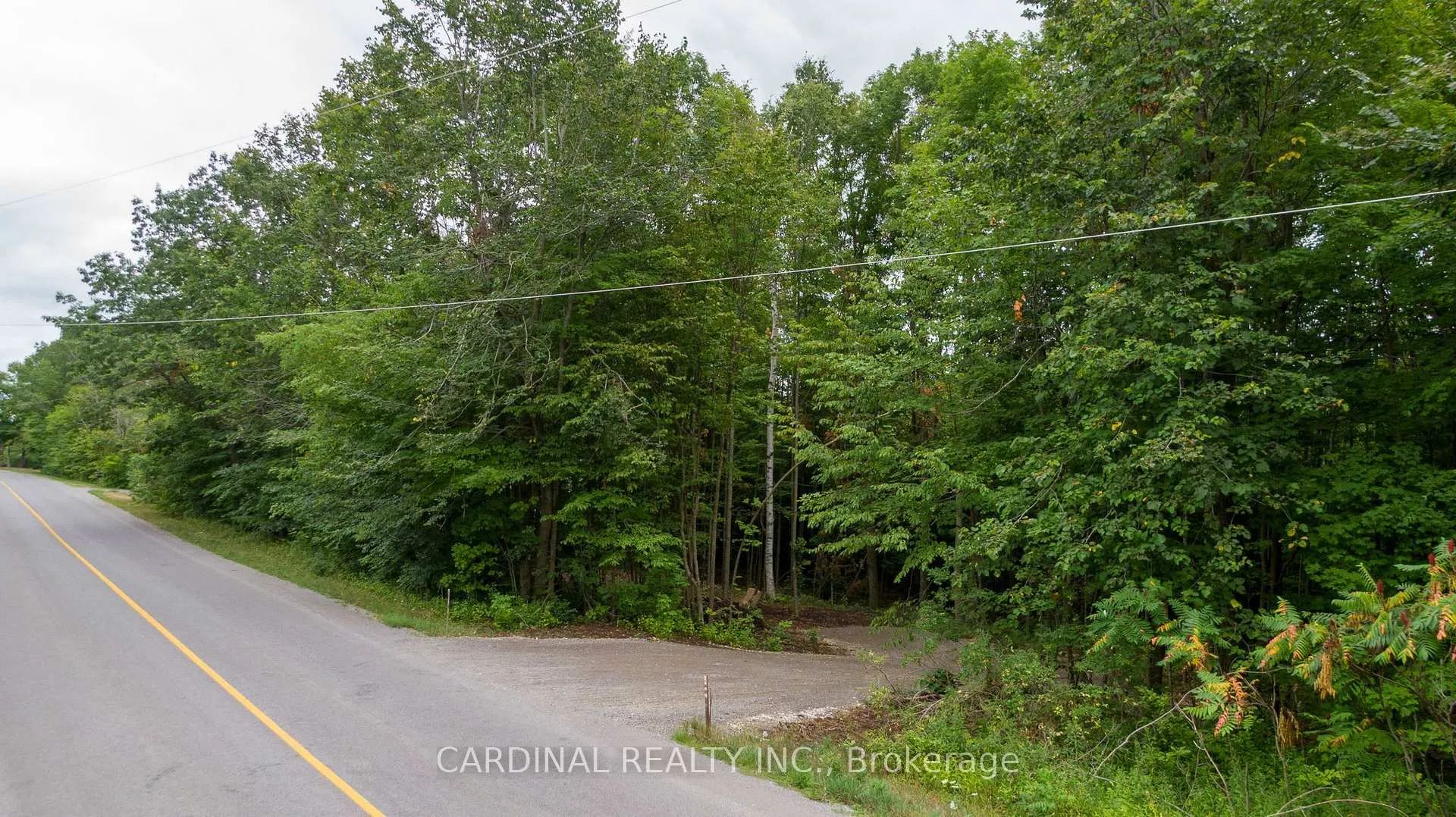 Photo of Part 1 Gully Road