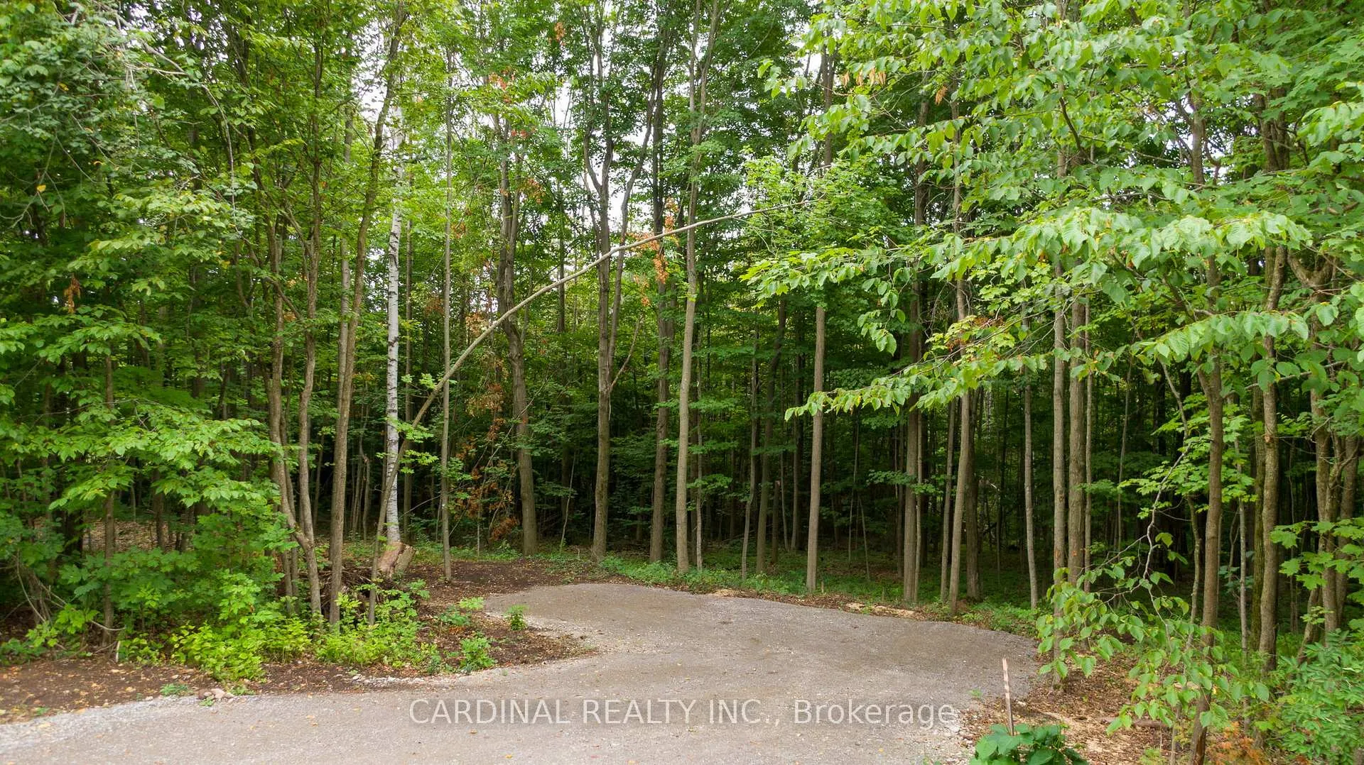 Photo 6 of Part 1 Gully Road, Alnwick/Haldimand, Rural Alnwick/Haldimand — HOMEH