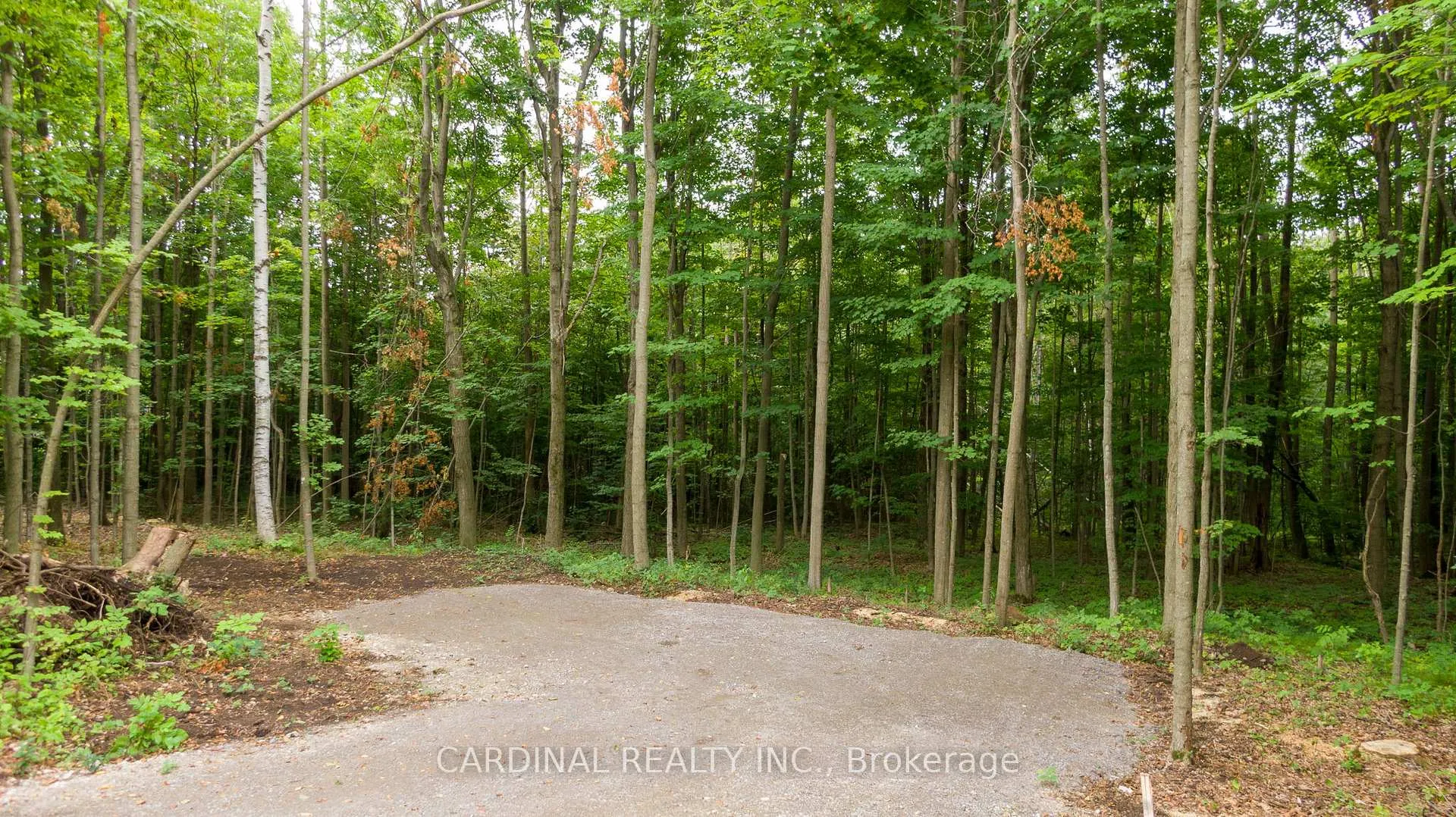 Photo 8 of Part 1 Gully Road, Alnwick/Haldimand, Rural Alnwick/Haldimand — HOMEH