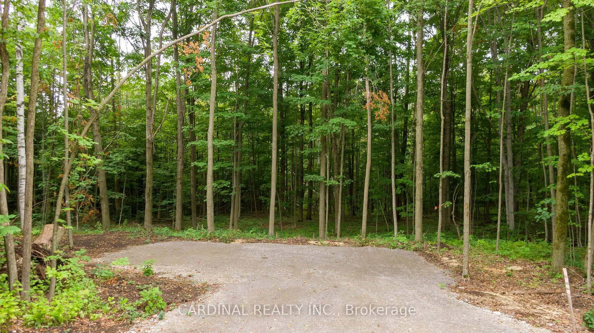 Photo 10 of Part 1 Gully Road, Alnwick/Haldimand, Rural Alnwick/Haldimand — HOMEH
