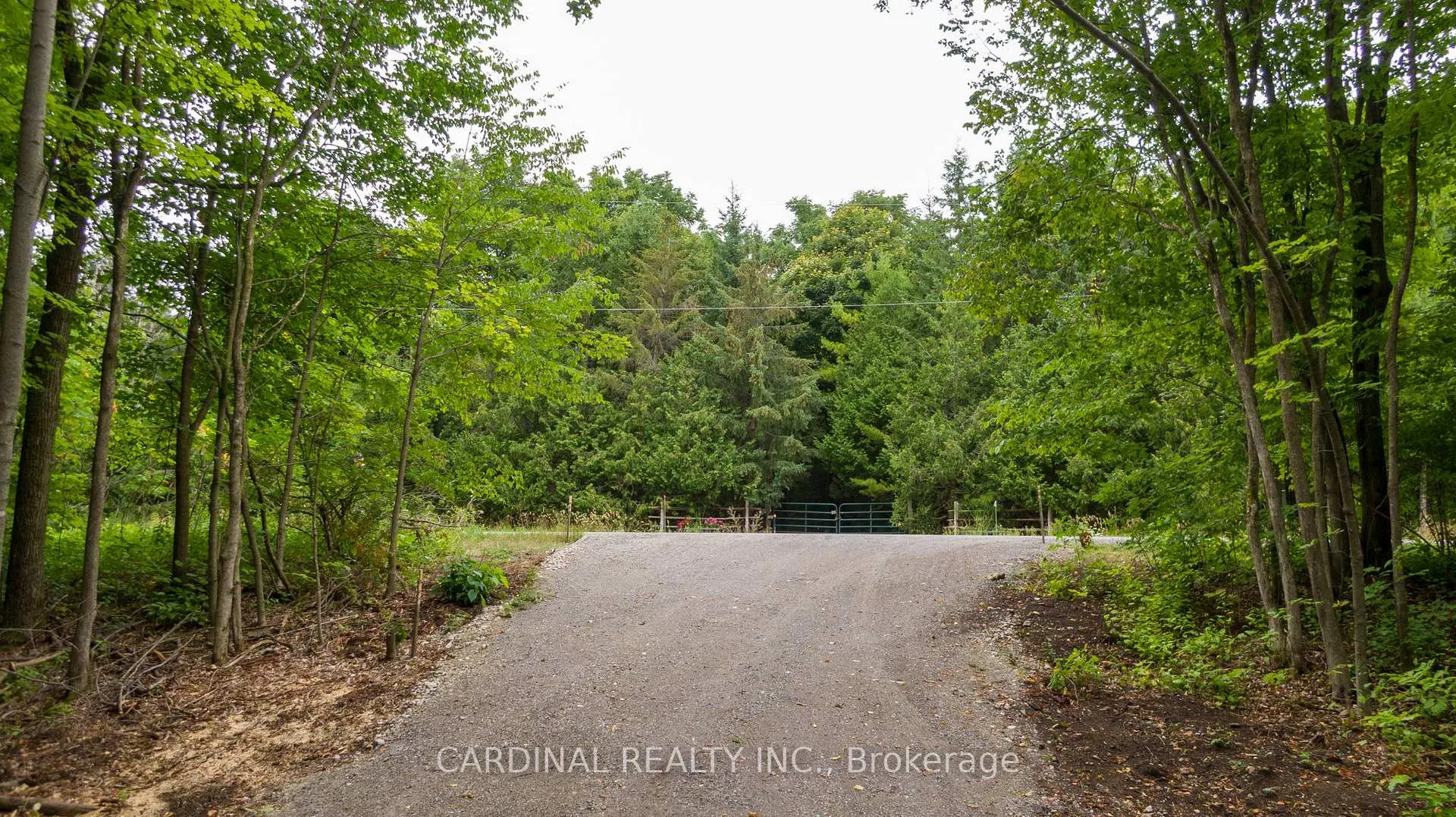 Photo 11 of Part 1 Gully Road, Alnwick/Haldimand, Rural Alnwick/Haldimand — HOMEH