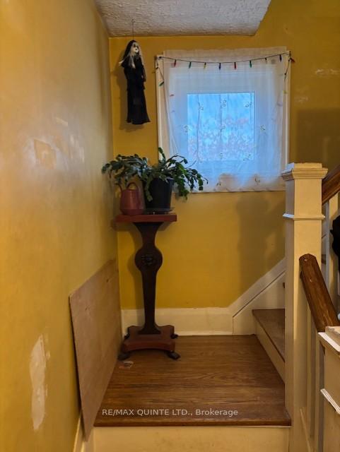 Photo 16 of 1392 Queensborough Road, Tweed, Elzevir (Twp) — HOMEH