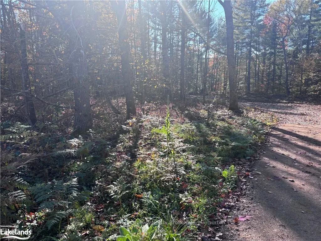 Photo 7 of LOT 5, Algonquin Highlands, Stanhope — HOMEH