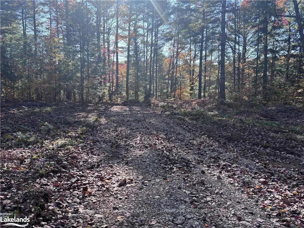 Photo 8 of LOT 5, Algonquin Highlands, Stanhope — HOMEH