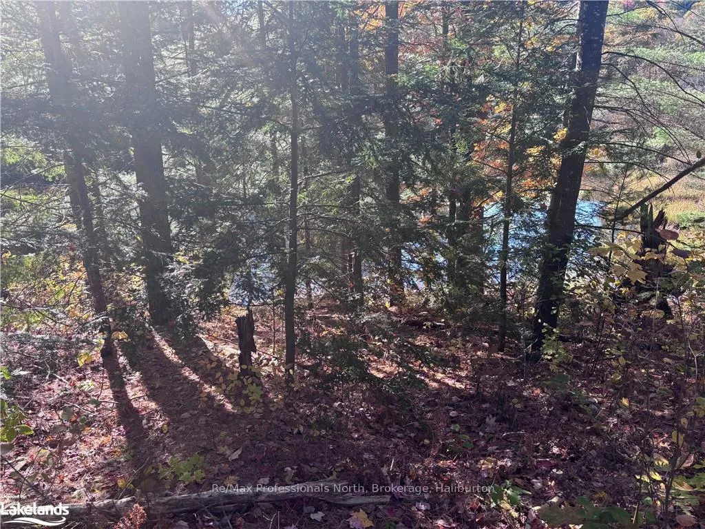 Photo 9 of LOT 5, Algonquin Highlands, Stanhope — HOMEH