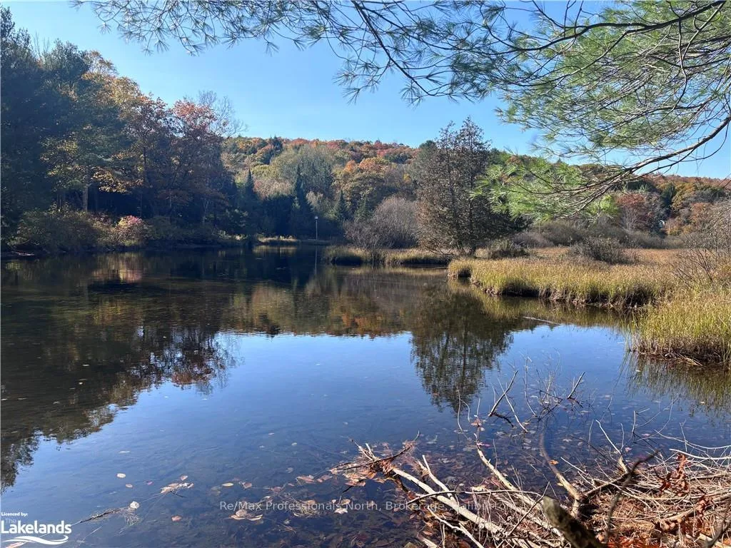 Photo 10 of LOT 5, Algonquin Highlands, Stanhope — HOMEH