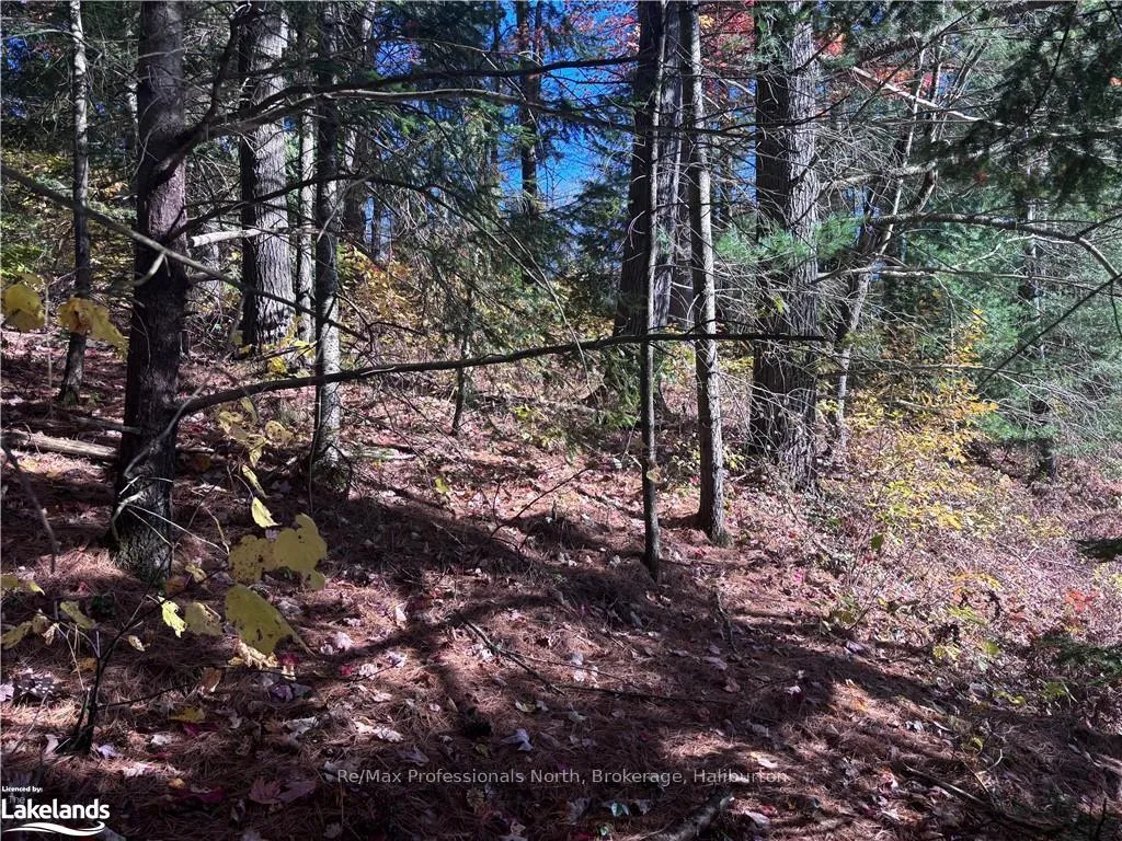 Photo 11 of LOT 5, Algonquin Highlands, Stanhope — HOMEH