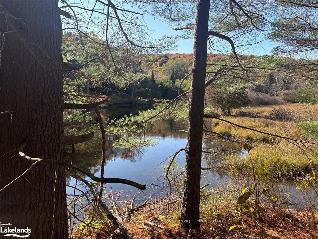 Photo 12 of LOT 5, Algonquin Highlands, Stanhope — HOMEH