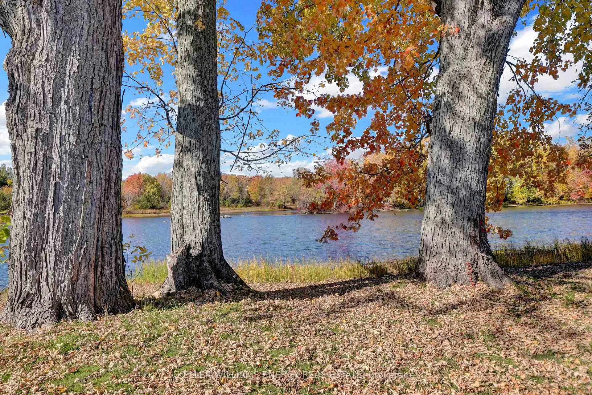 Photo 8 of 141 Stoco Road, Tweed, Hungerford (Twp) — HOMEH