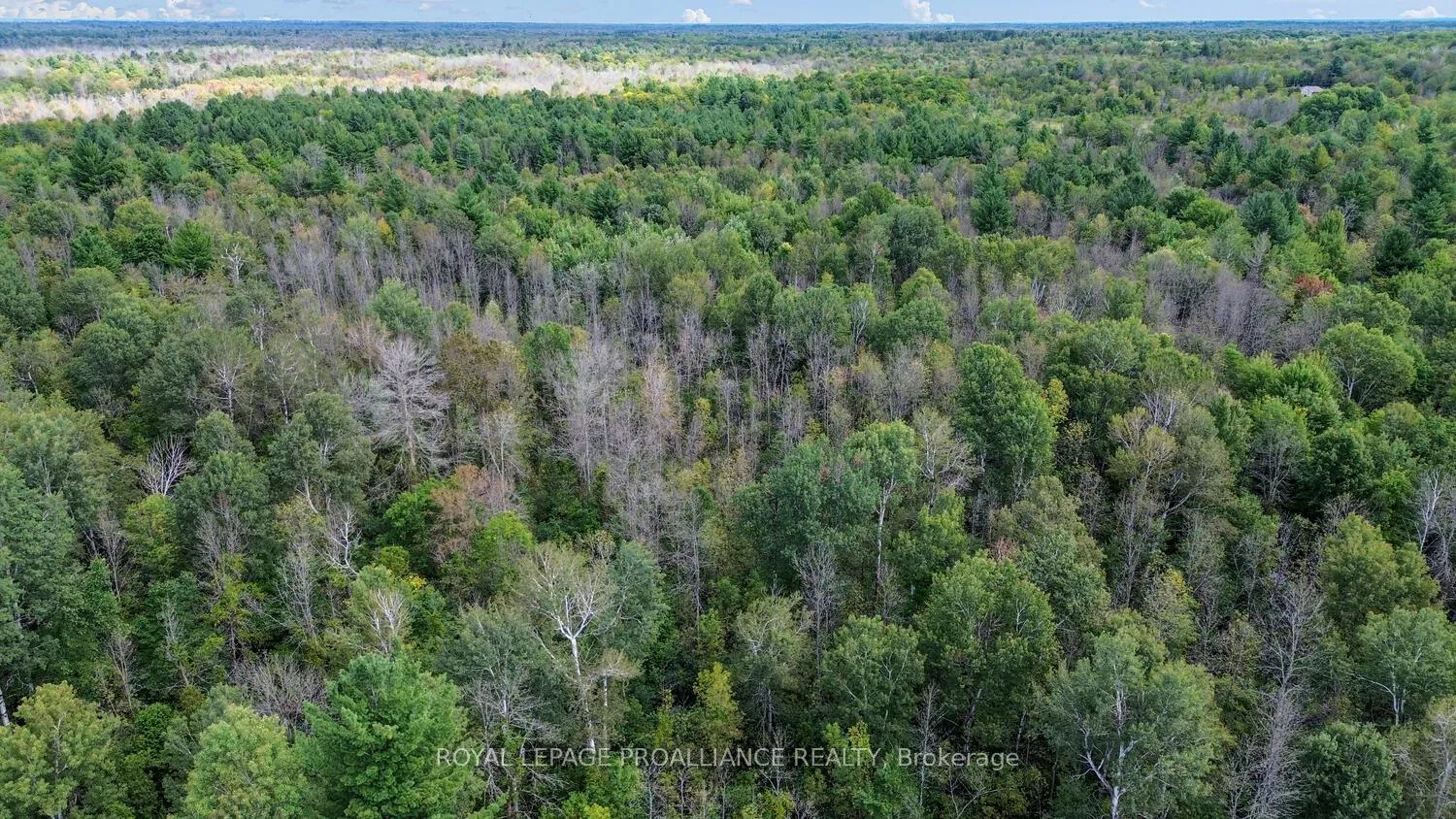 Photo 76 of 4825 Mccully Road, Augusta, Augusta Twp — HOMEH