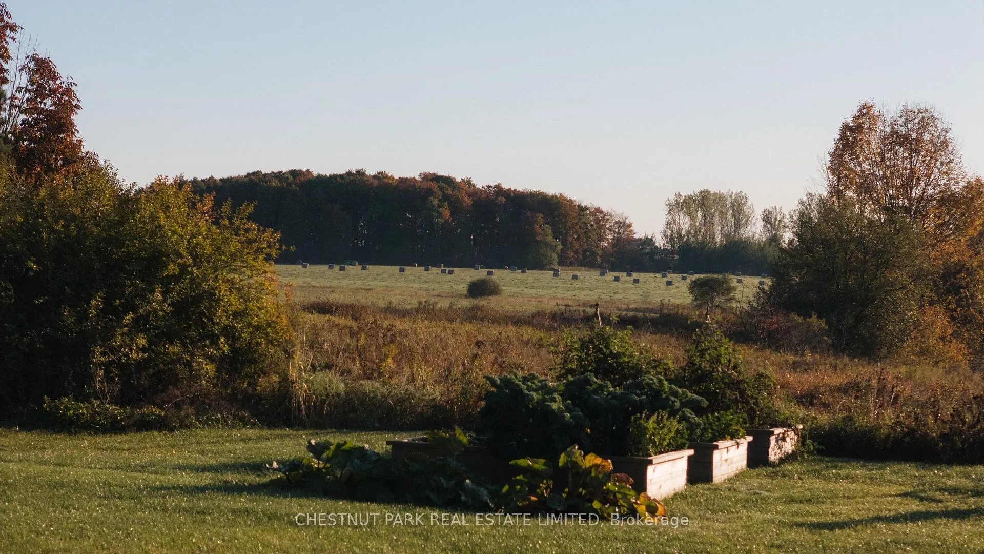 Photo 43 of 253345 9th Line, Amaranth, Rural Amaranth — HOMEH