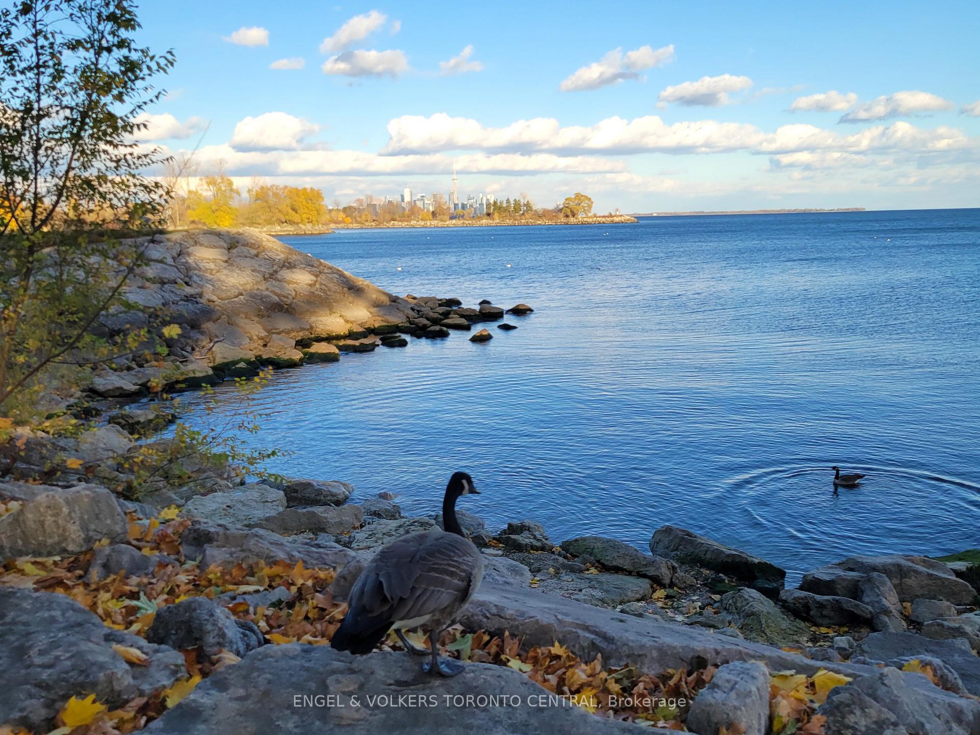 Photo 10 of Unit 3, 20 Norris Crescent, Etobicoke, Mimico — HOMEH
