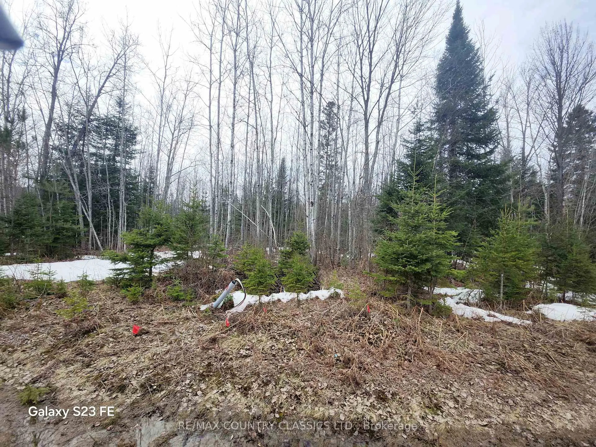 Photo 4 of 23 Nicklaus Drive, Bancroft, Bancroft Ward — HOMEH