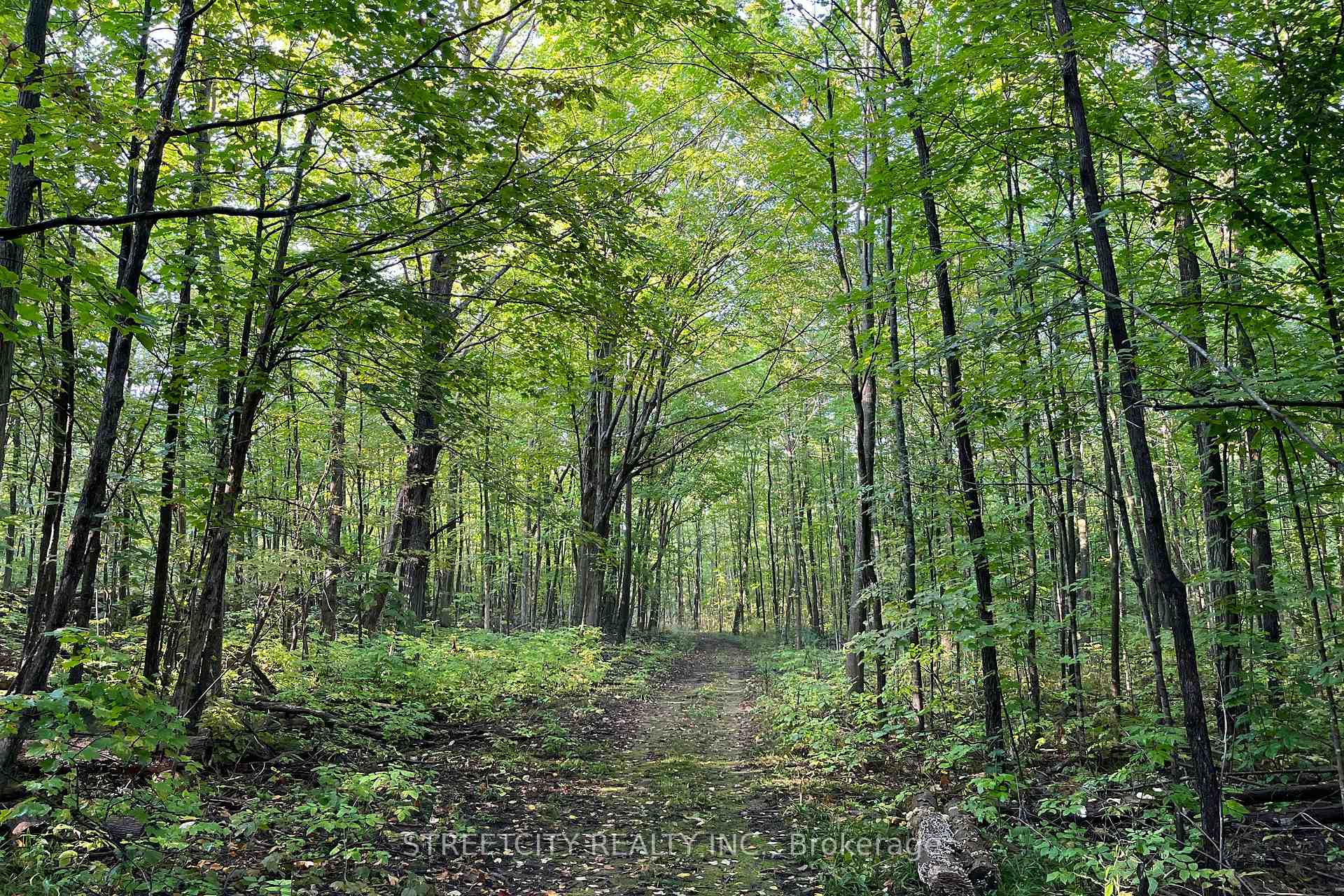 Photo 35 of 171 Flatrock Road, Tweed, Hungerford (Twp) — HOMEH