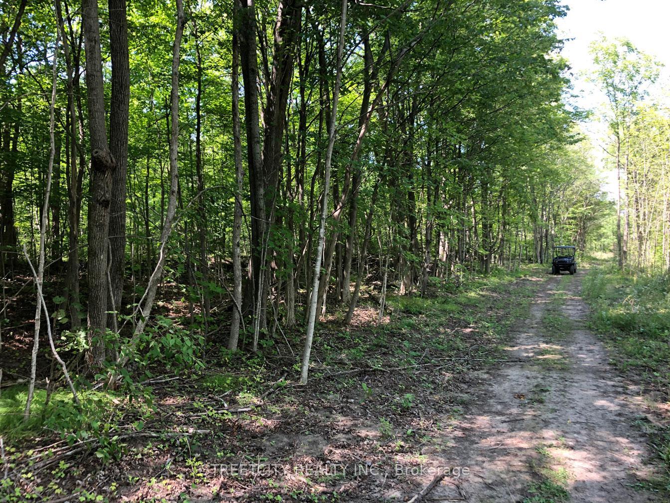 Photo 42 of 171 Flatrock Road, Tweed, Hungerford (Twp) — HOMEH