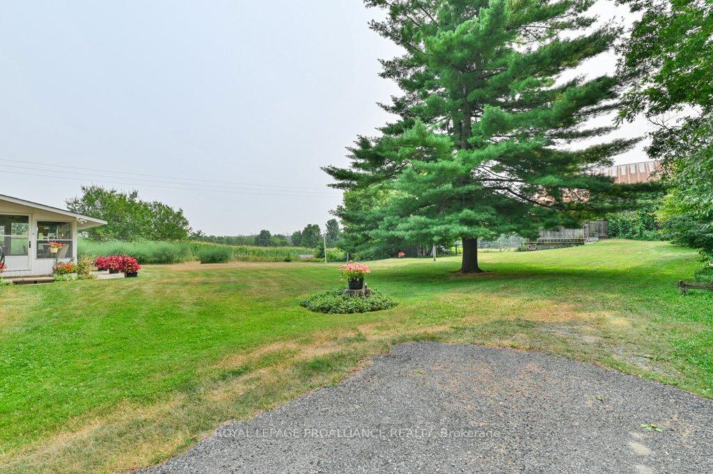 Photo 6 of 39 Palmateer Road, Tweed, Hungerford (Twp) — HOMEH