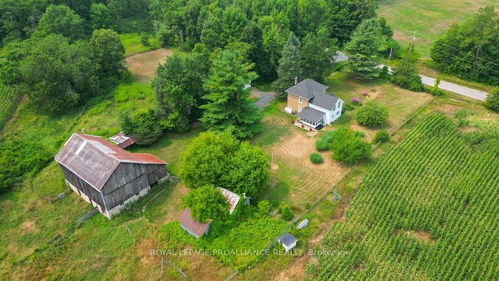 Photo 14 of 39 Palmateer Road, Tweed, Hungerford (Twp) — HOMEH