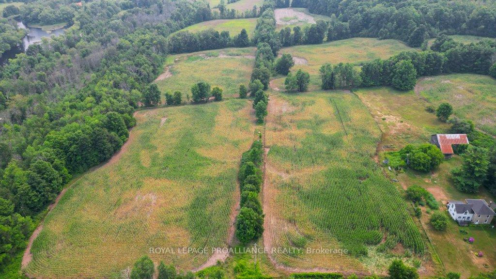 Photo 16 of 39 Palmateer Road, Tweed, Hungerford (Twp) — HOMEH