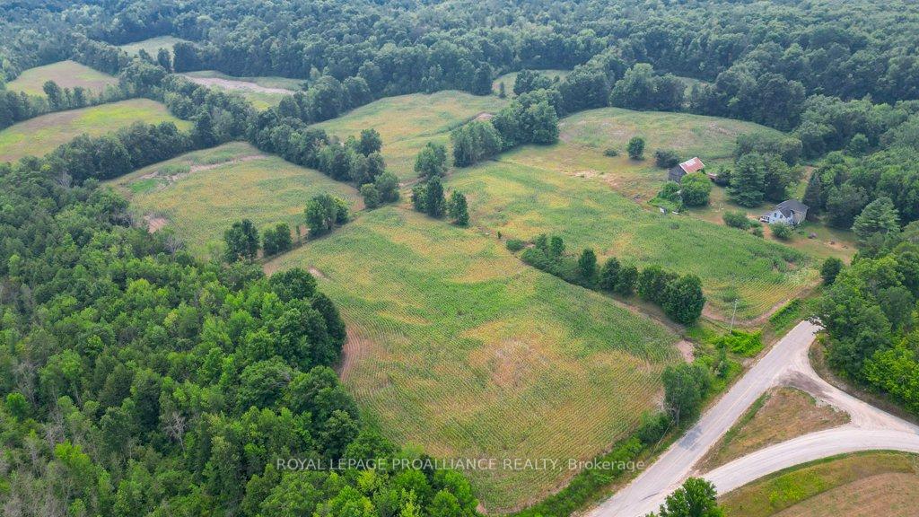 Photo 17 of 39 Palmateer Road, Tweed, Hungerford (Twp) — HOMEH