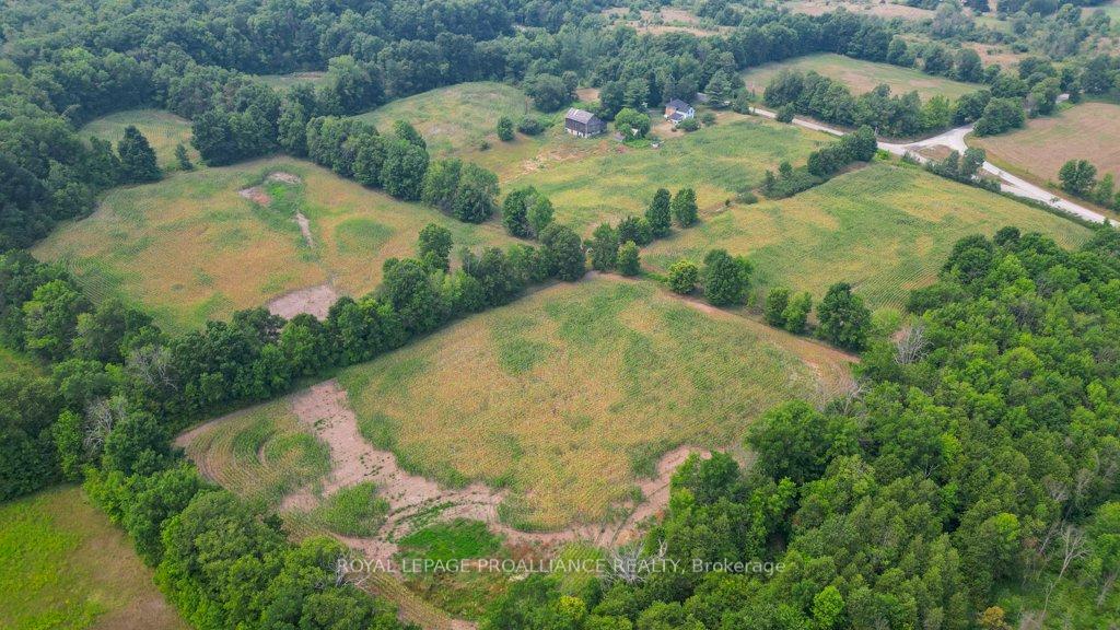 Photo 18 of 39 Palmateer Road, Tweed, Hungerford (Twp) — HOMEH