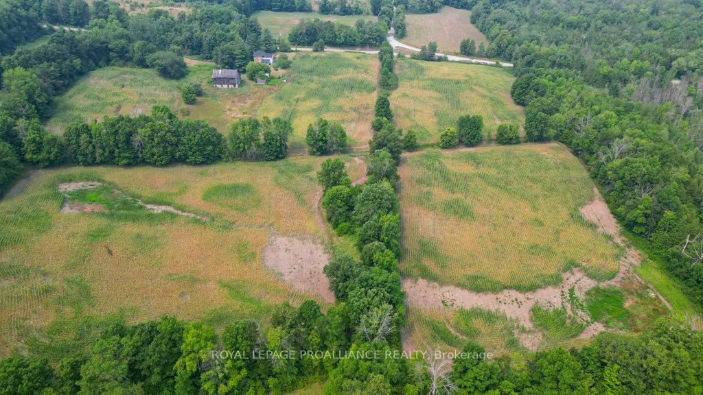 Photo 19 of 39 Palmateer Road, Tweed, Hungerford (Twp) — HOMEH
