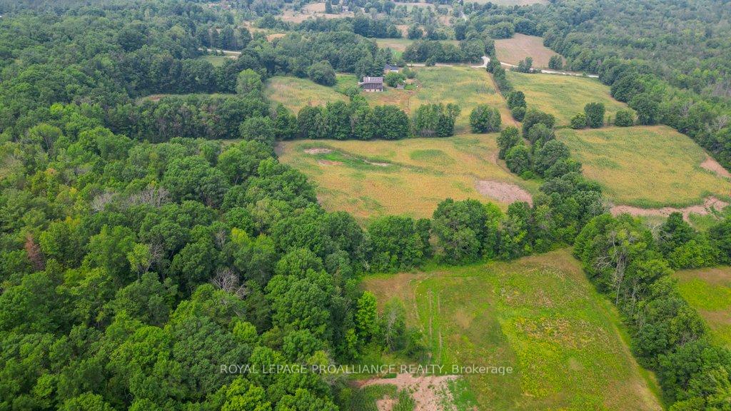Photo 20 of 39 Palmateer Road, Tweed, Hungerford (Twp) — HOMEH