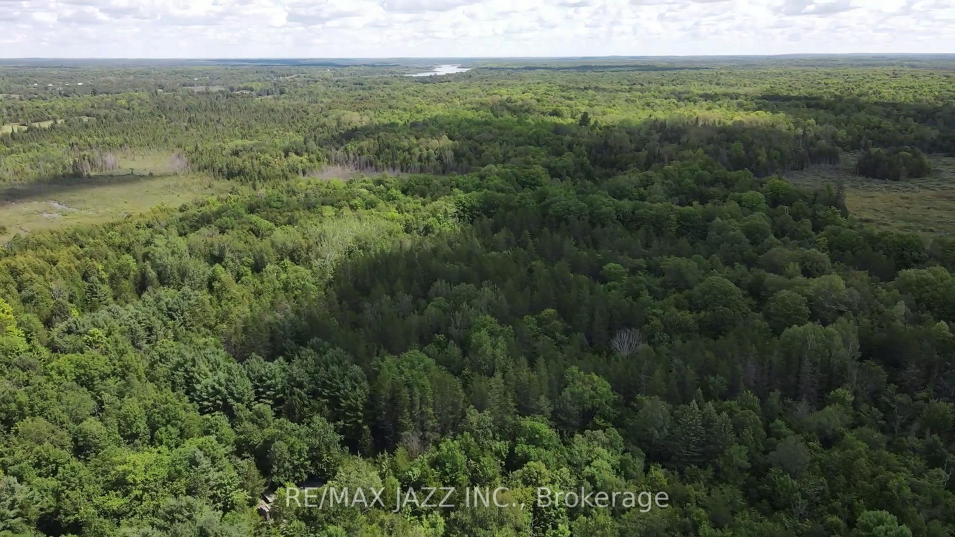 Photo 4 of 1670 Daley Road, Tyendinaga, Tyendinaga Township — HOMEH