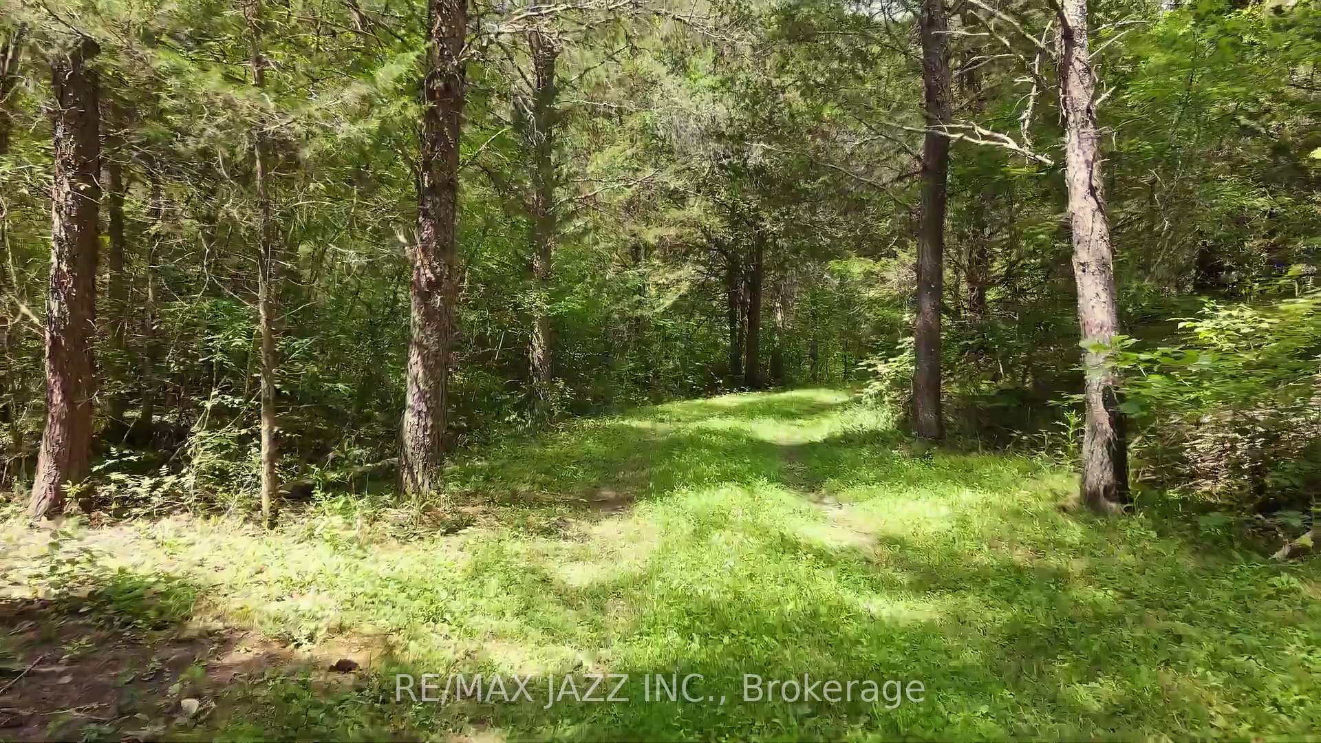 Photo 9 of 1670 Daley Road, Tyendinaga, Tyendinaga Township — HOMEH
