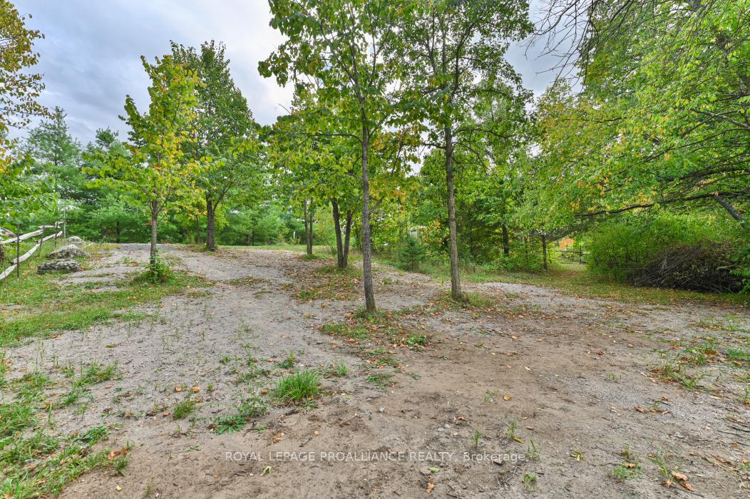 Photo 6 of 60 Birch Lane, Tweed, Hungerford (Twp) — HOMEH