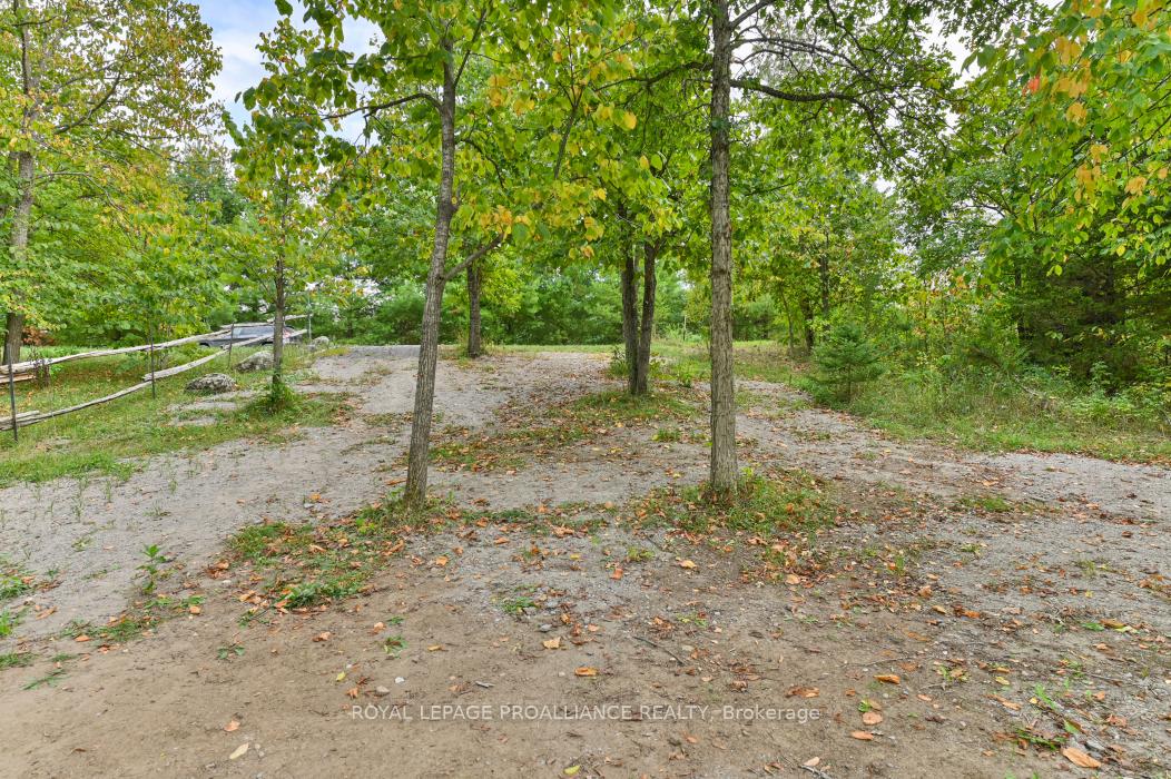 Photo 7 of 60 Birch Lane, Tweed, Hungerford (Twp) — HOMEH
