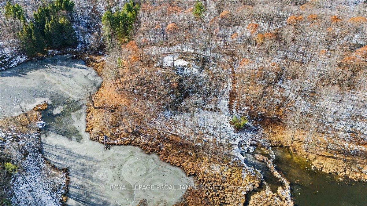 Photo 21 of 702 French Settlement Road N, Tweed, Elzevir (Twp) — HOMEH