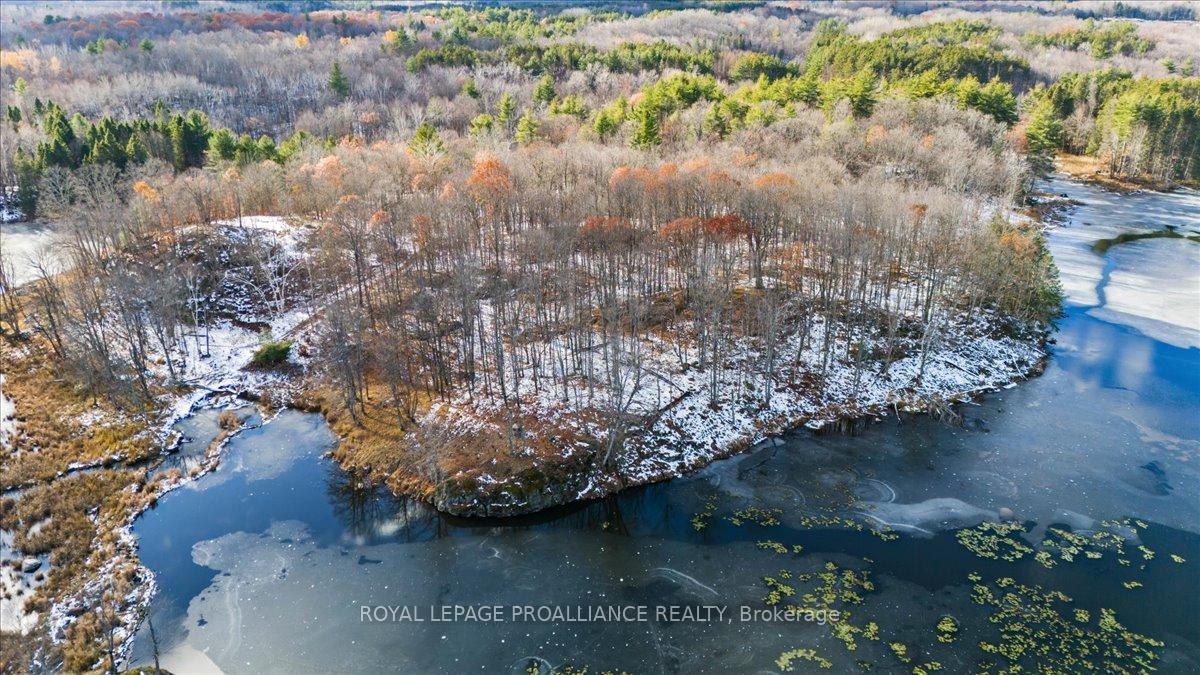 Photo 23 of 702 French Settlement Road N, Tweed, Elzevir (Twp) — HOMEH