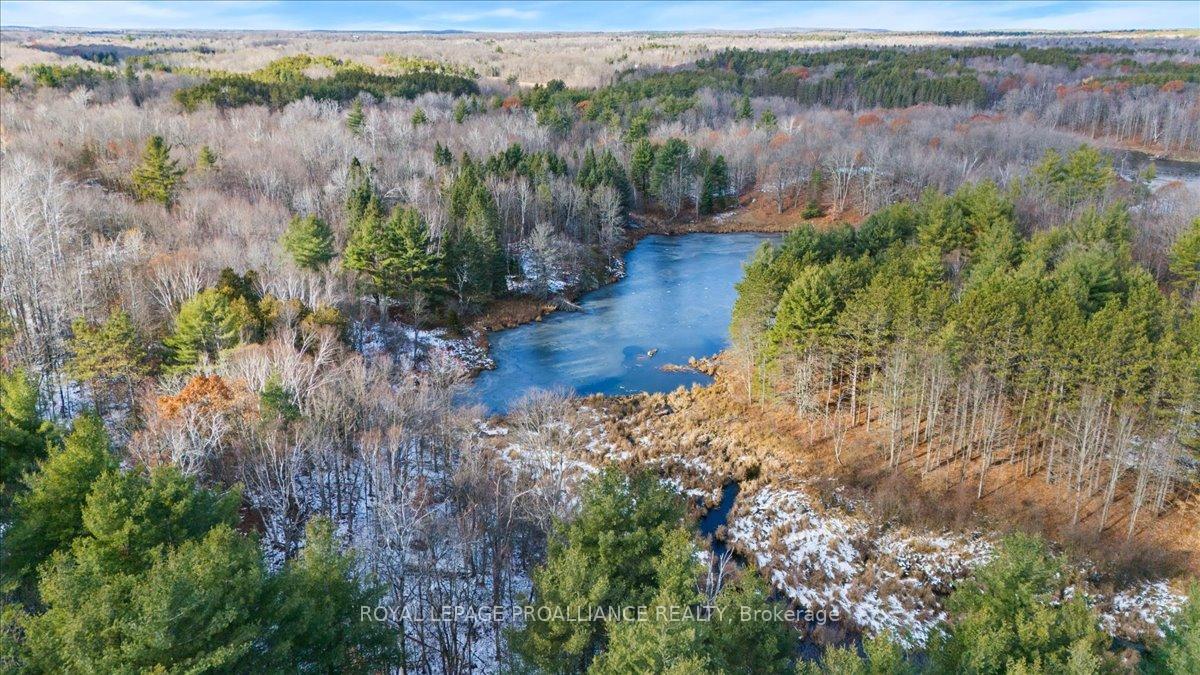 Photo 28 of 702 French Settlement Road N, Tweed, Elzevir (Twp) — HOMEH