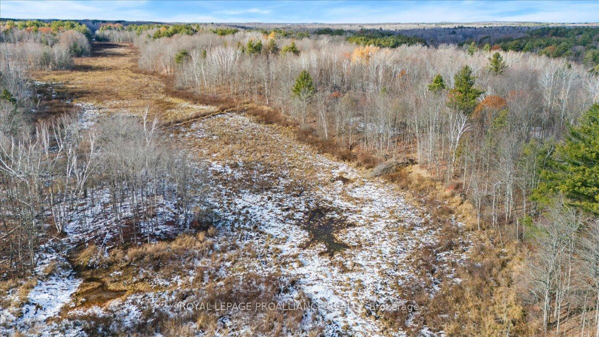 Photo 30 of 702 French Settlement Road N, Tweed, Elzevir (Twp) — HOMEH