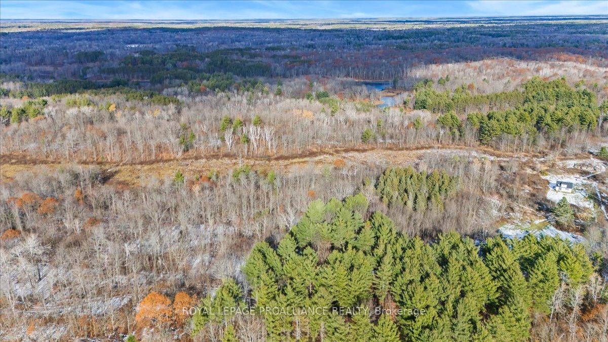 Photo 35 of 702 French Settlement Road N, Tweed, Elzevir (Twp) — HOMEH