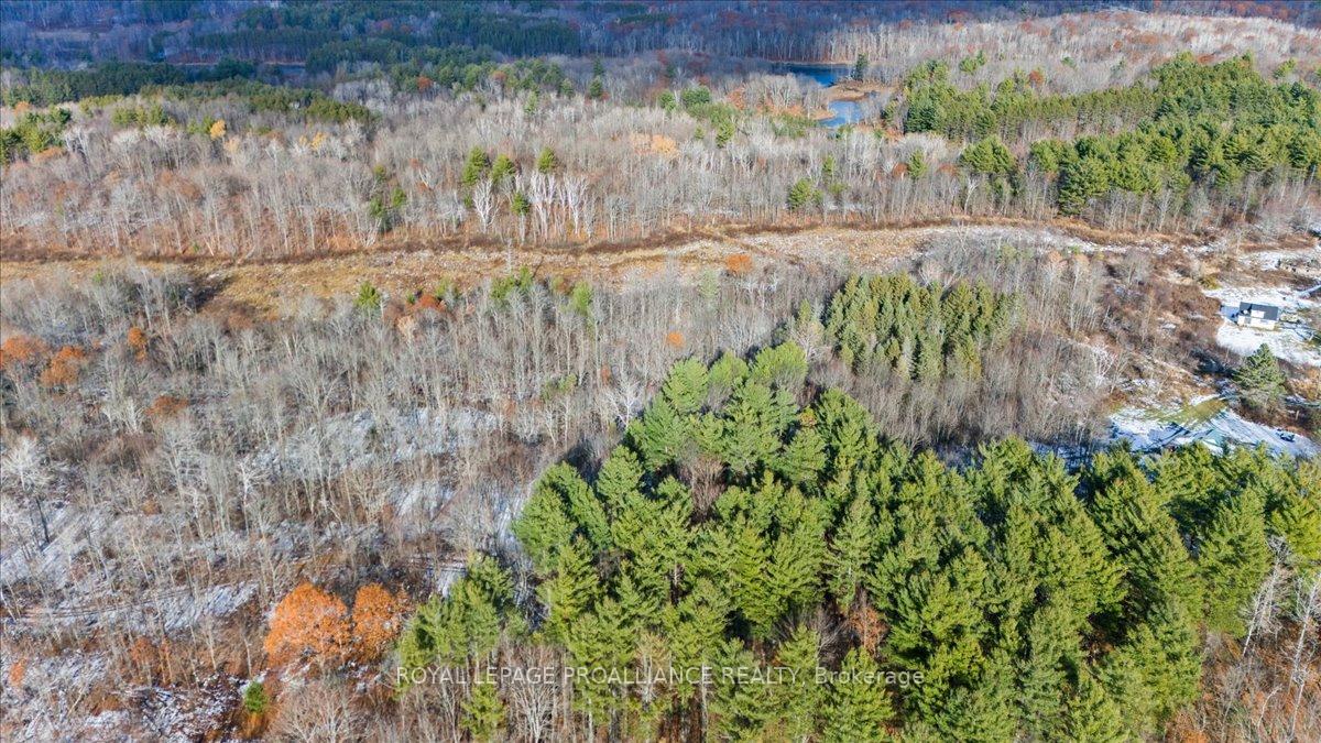 Photo 36 of 702 French Settlement Road N, Tweed, Elzevir (Twp) — HOMEH