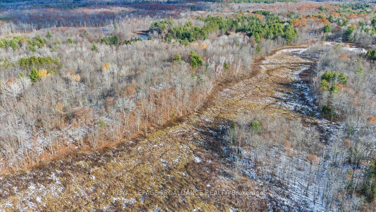 Photo 39 of 702 French Settlement Road N, Tweed, Elzevir (Twp) — HOMEH