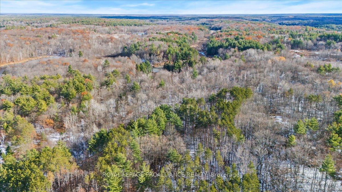 Photo 40 of 702 French Settlement Road N, Tweed, Elzevir (Twp) — HOMEH