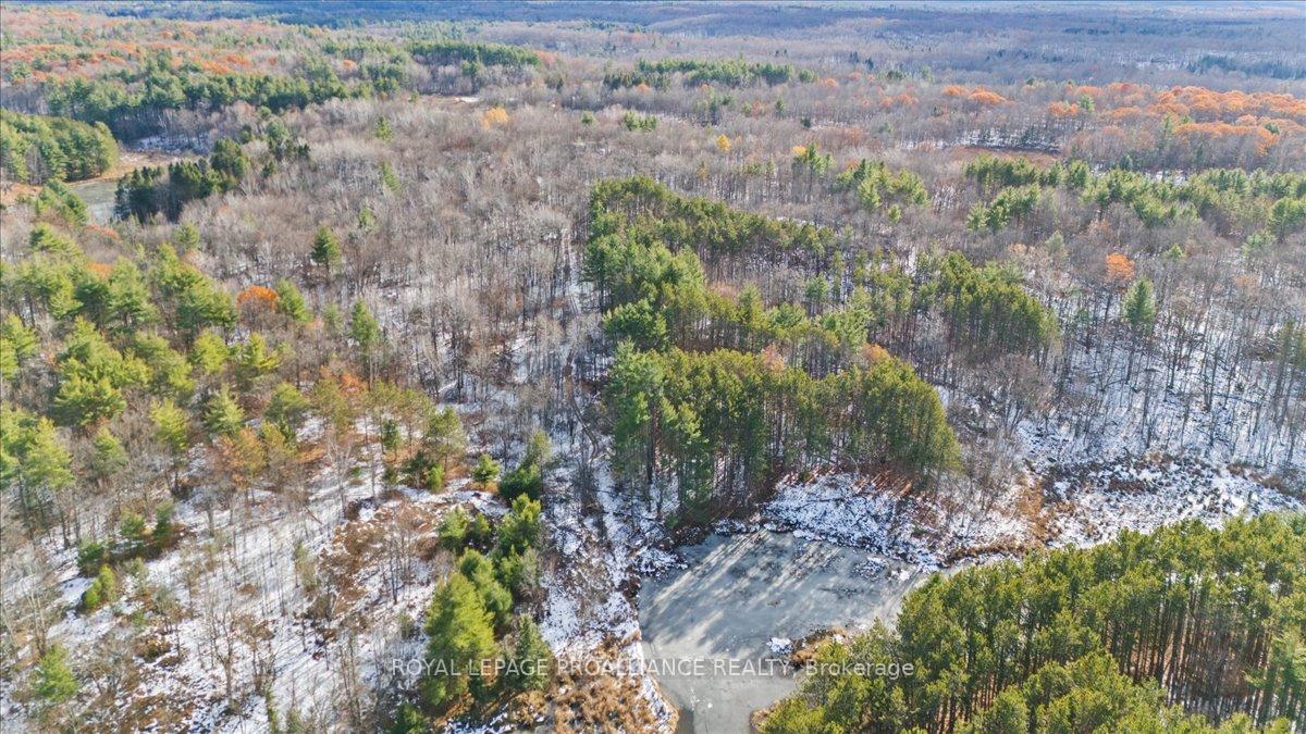Photo 41 of 702 French Settlement Road N, Tweed, Elzevir (Twp) — HOMEH