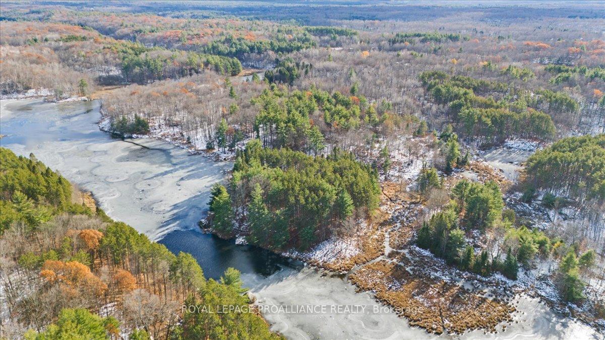 Photo 42 of 702 French Settlement Road N, Tweed, Elzevir (Twp) — HOMEH