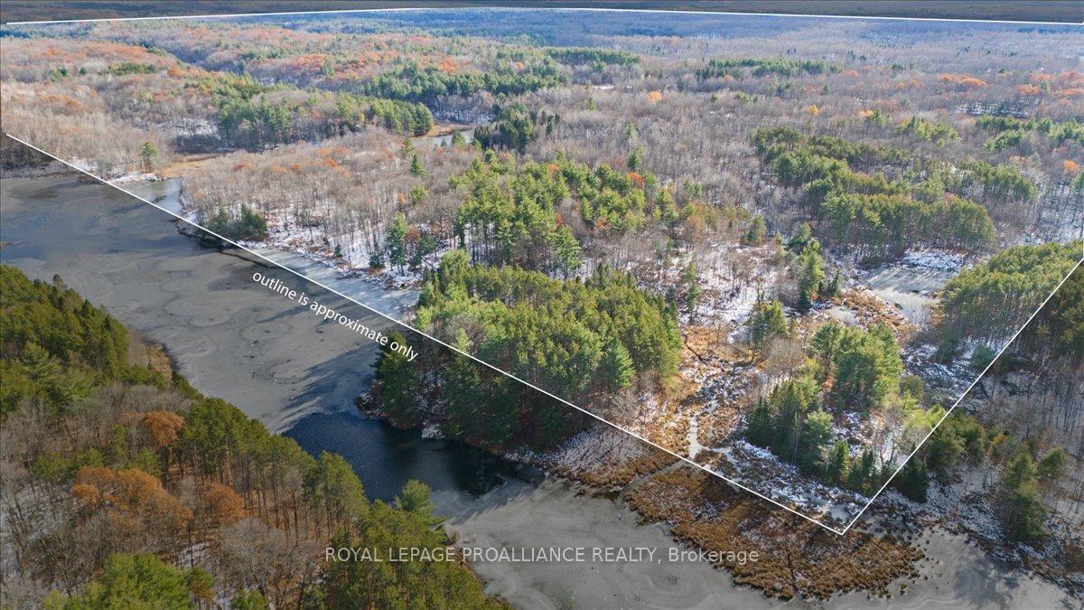 Photo 43 of 702 French Settlement Road N, Tweed, Elzevir (Twp) — HOMEH