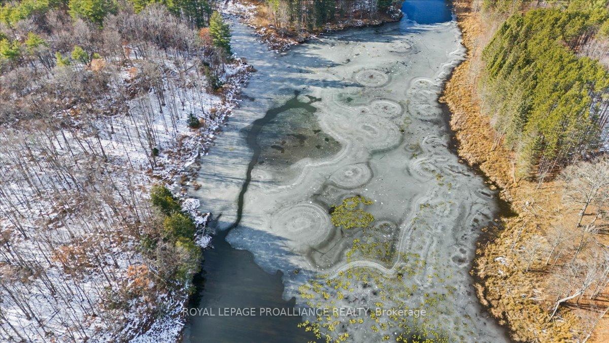 Photo 44 of 702 French Settlement Road N, Tweed, Elzevir (Twp) — HOMEH