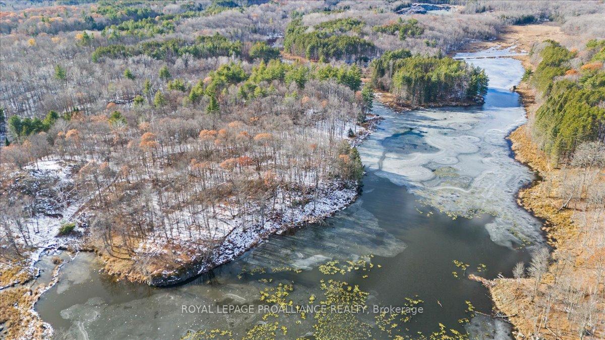 Photo 45 of 702 French Settlement Road N, Tweed, Elzevir (Twp) — HOMEH