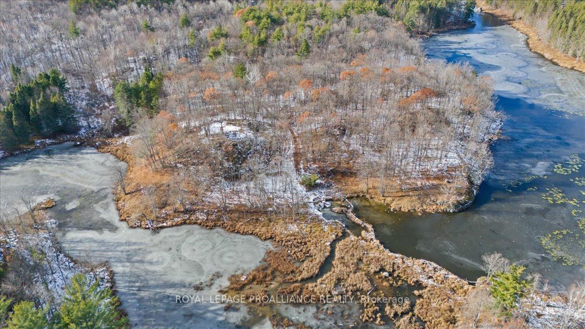 Photo 46 of 702 French Settlement Road N, Tweed, Elzevir (Twp) — HOMEH