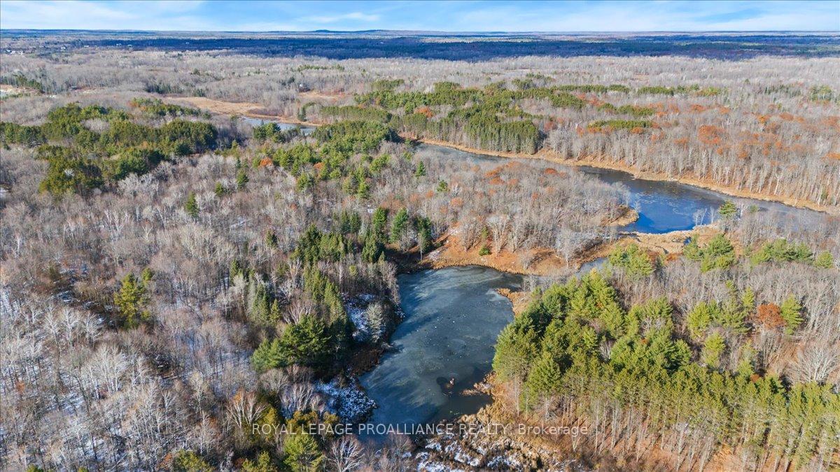 Photo 47 of 702 French Settlement Road N, Tweed, Elzevir (Twp) — HOMEH