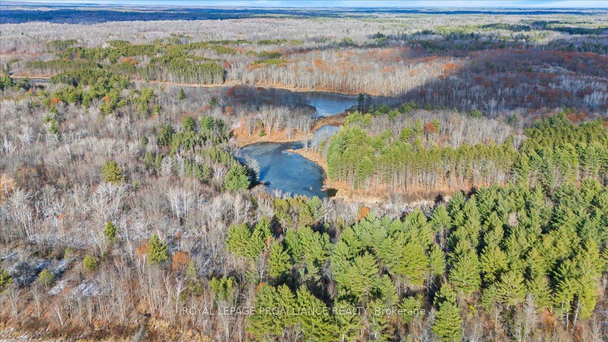Photo 48 of 702 French Settlement Road N, Tweed, Elzevir (Twp) — HOMEH